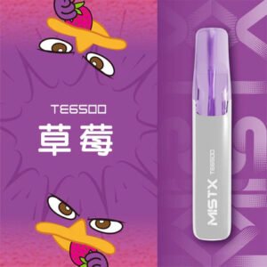 Mist X 鴨嘴獸 6500抽 3% 順滑擊喉感 13ml 恆定不掉味存量 柔軟防滑外殼設計 台灣現貨秒發
